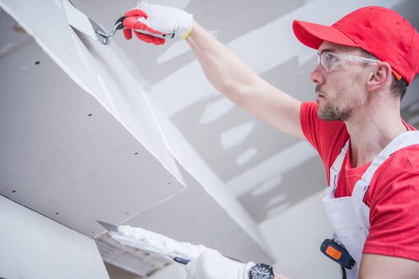 Best Ceiling Drywall Installation  in Freeburg, IL